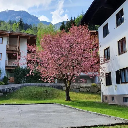 Apartament Tauern *